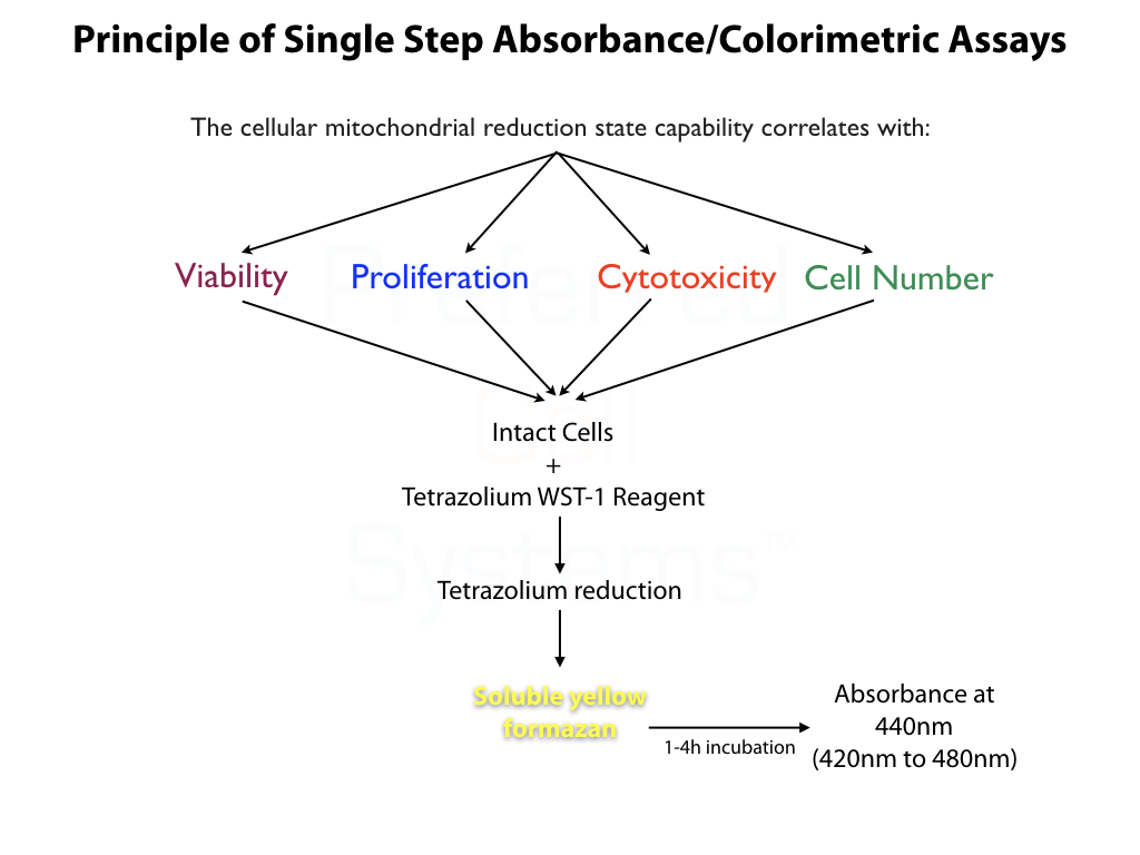 Principle of Absorbance/Colorimetric Assays from Preferred Cell Systems™